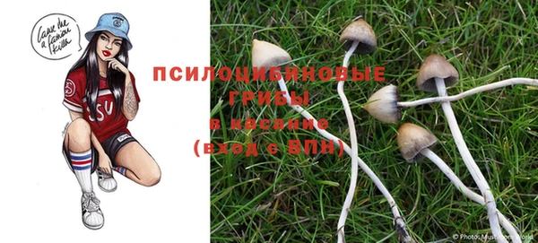 Альфа ПВП Володарск